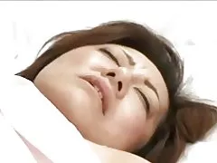 Кайнар япон зрелые